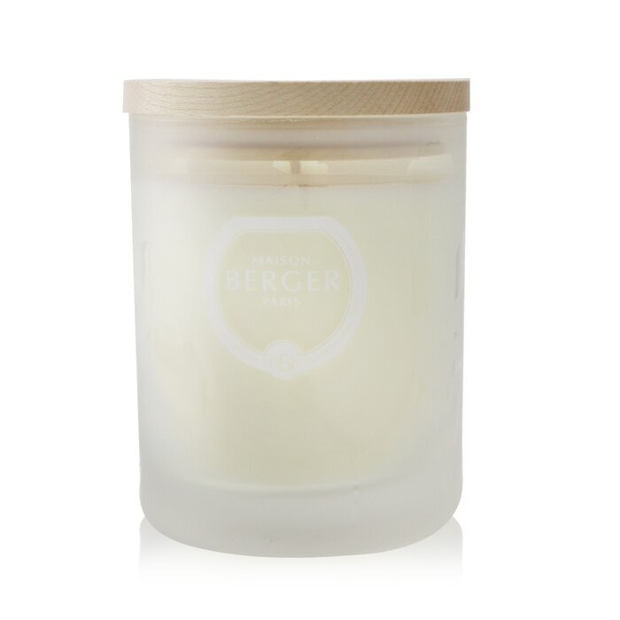 Lampe Berger (Maison Berger Paris) Scented Candle - Aroma Focus Scented Candle